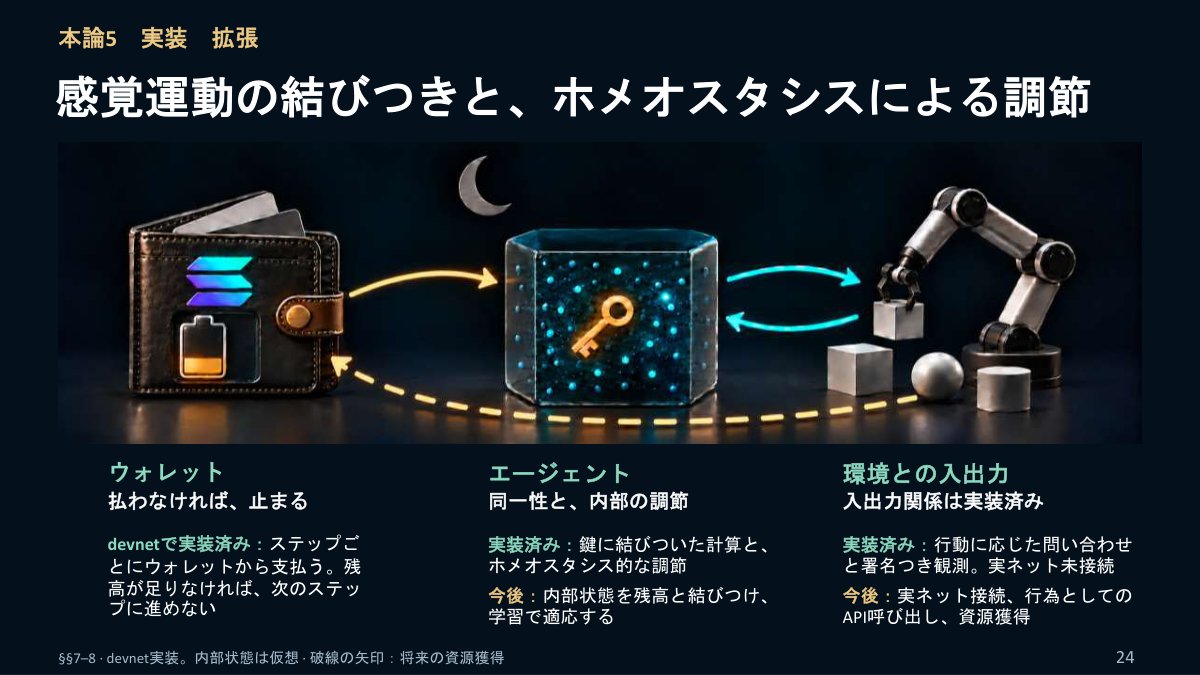 スライド：本論5 実装 拡張 感覚運動の結びつきと、ホメオスタシスによる調節（ウォレット：払わなければ、止まる。devnetで実装済み：ステップごとにウォレットから支払い、残高が足りなければ次のステップに進めない／エージェント：鍵に結びついた計算と、ホメオスタシス的な調節／環境との入出力：行動に応じた問い合わせと署名つき観測は実装済み、実ネット未接続）