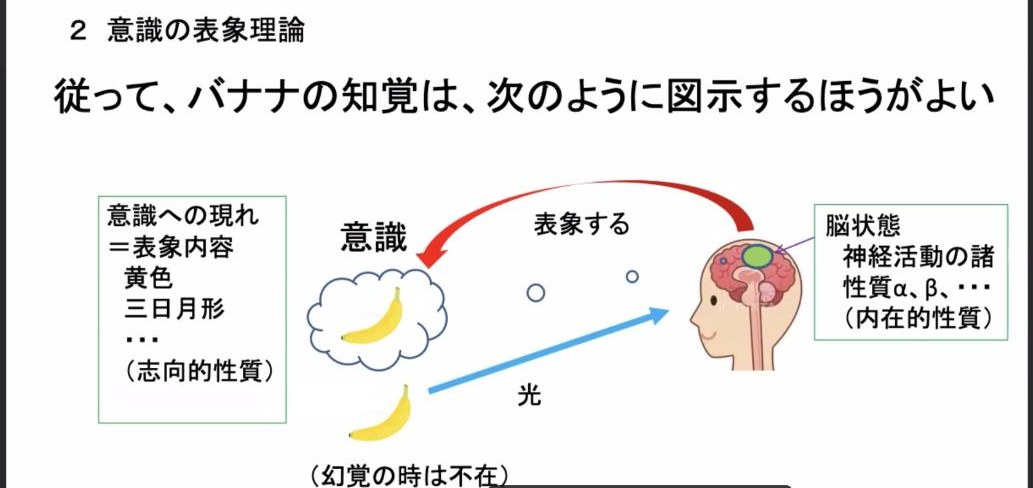 図：バナナの知覚の図示