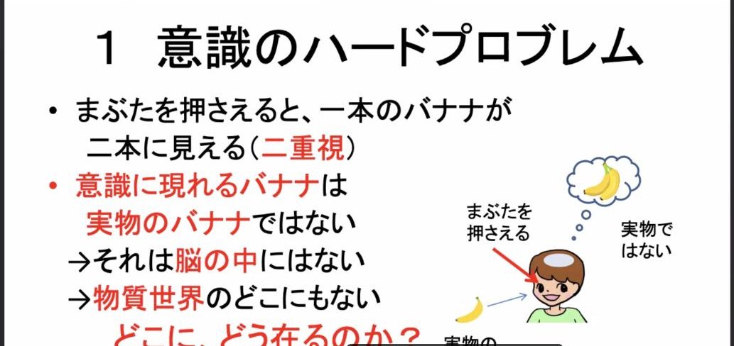 スライド：二重視とハードプロブレム