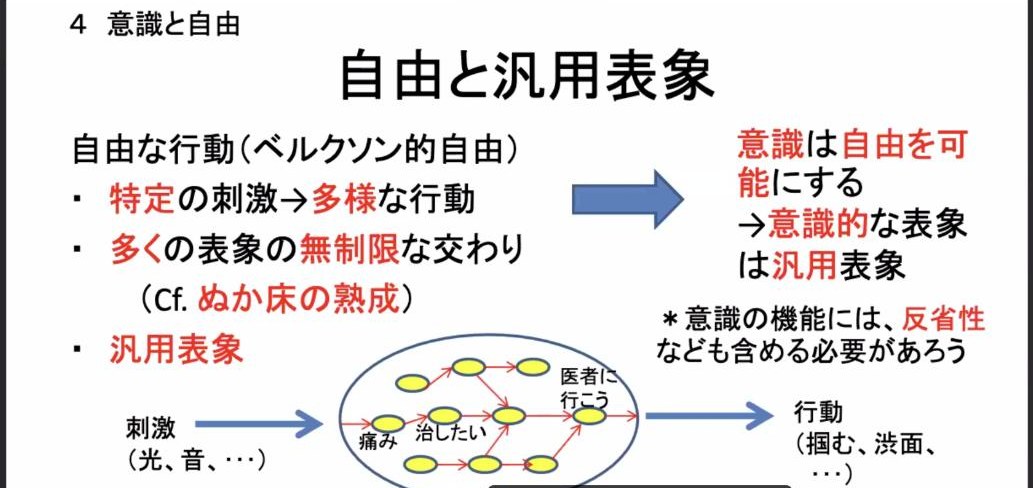 スライド：自由と汎用表象