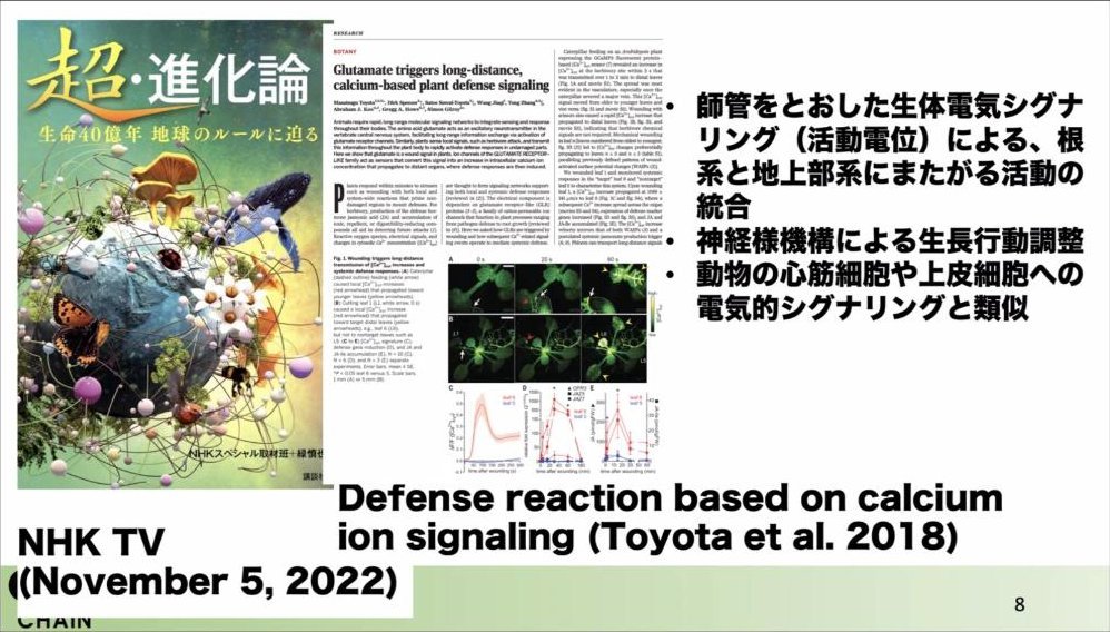 スライド：師管をとおした生体電気シグナリング（活動電位）／Defense reaction based on calcium ion signaling（Toyota et al. 2018）／NHK『超・進化論』