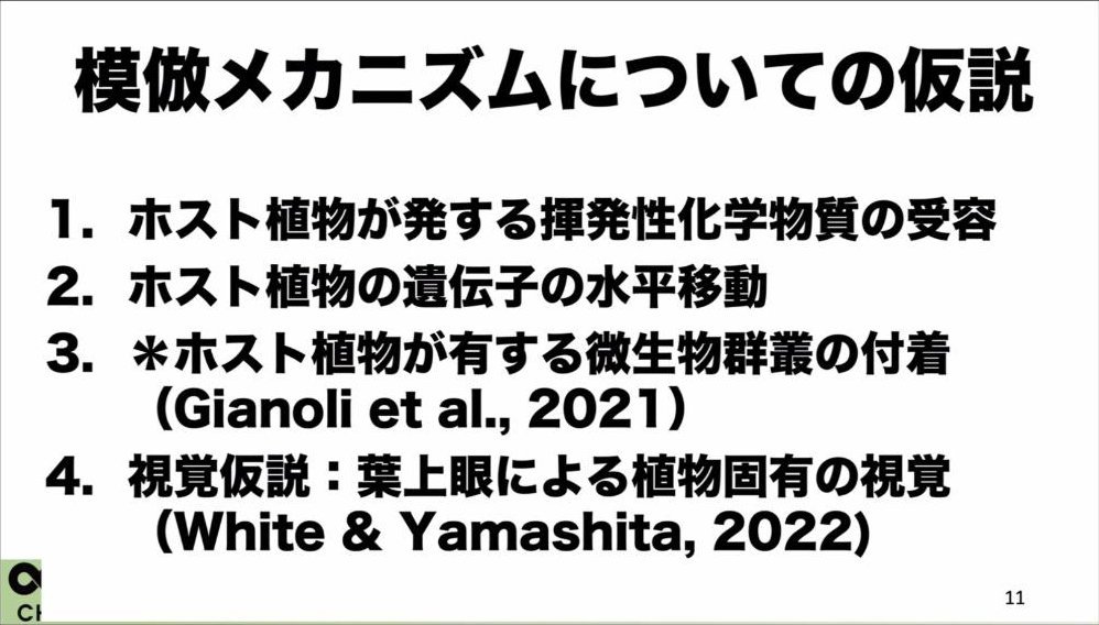 スライド：模倣メカニズムについての仮説（1. 揮発性化学物質の受容／2. 遺伝子の水平移動／3. 微生物群叢の付着 Gianoli et al., 2021／4. 視覚仮説：葉上眼による植物固有の視覚 White & Yamashita, 2022）