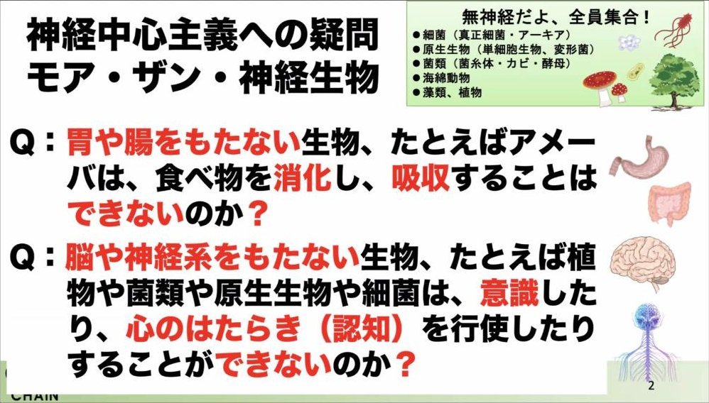 スライド：神経中心主義への疑問 モア・ザン・神経生物（胃や腸をもたない生物は消化・吸収できないのか／脳や神経系をもたない生物は意識したり心のはたらきを行使したりできないのか）